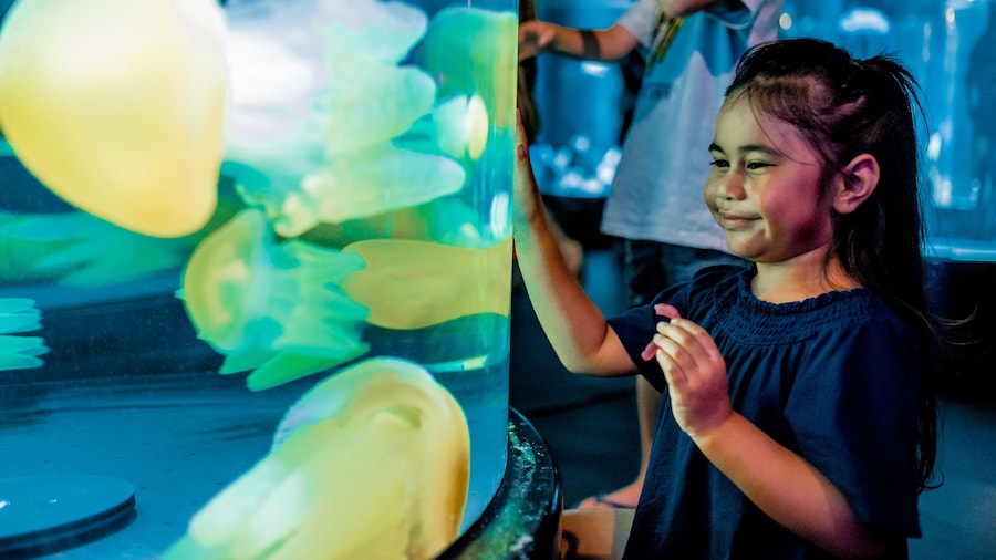 SEA LIFE Sydney Aquarium Tickets