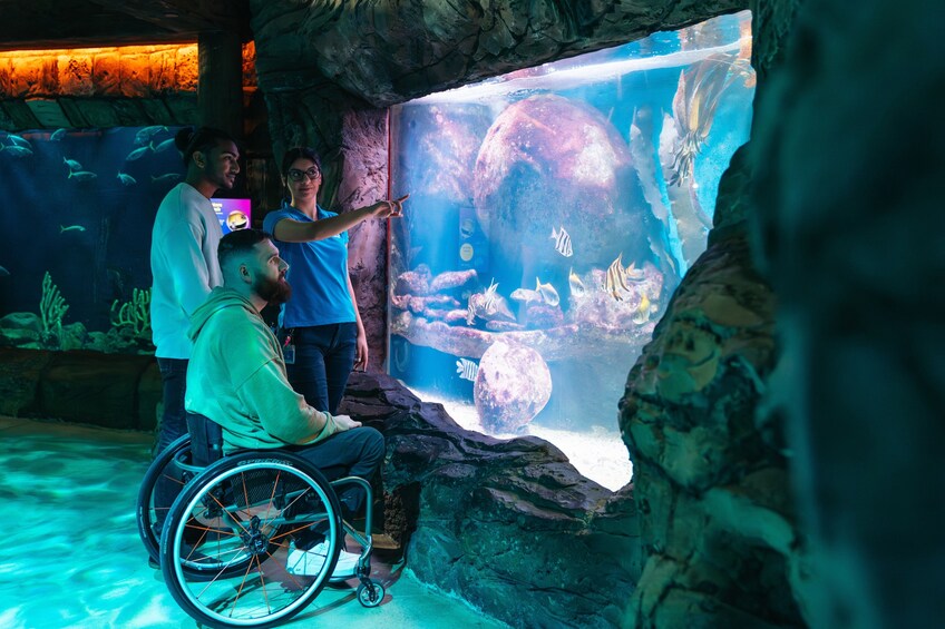 SEA LIFE Sydney Aquarium Tickets