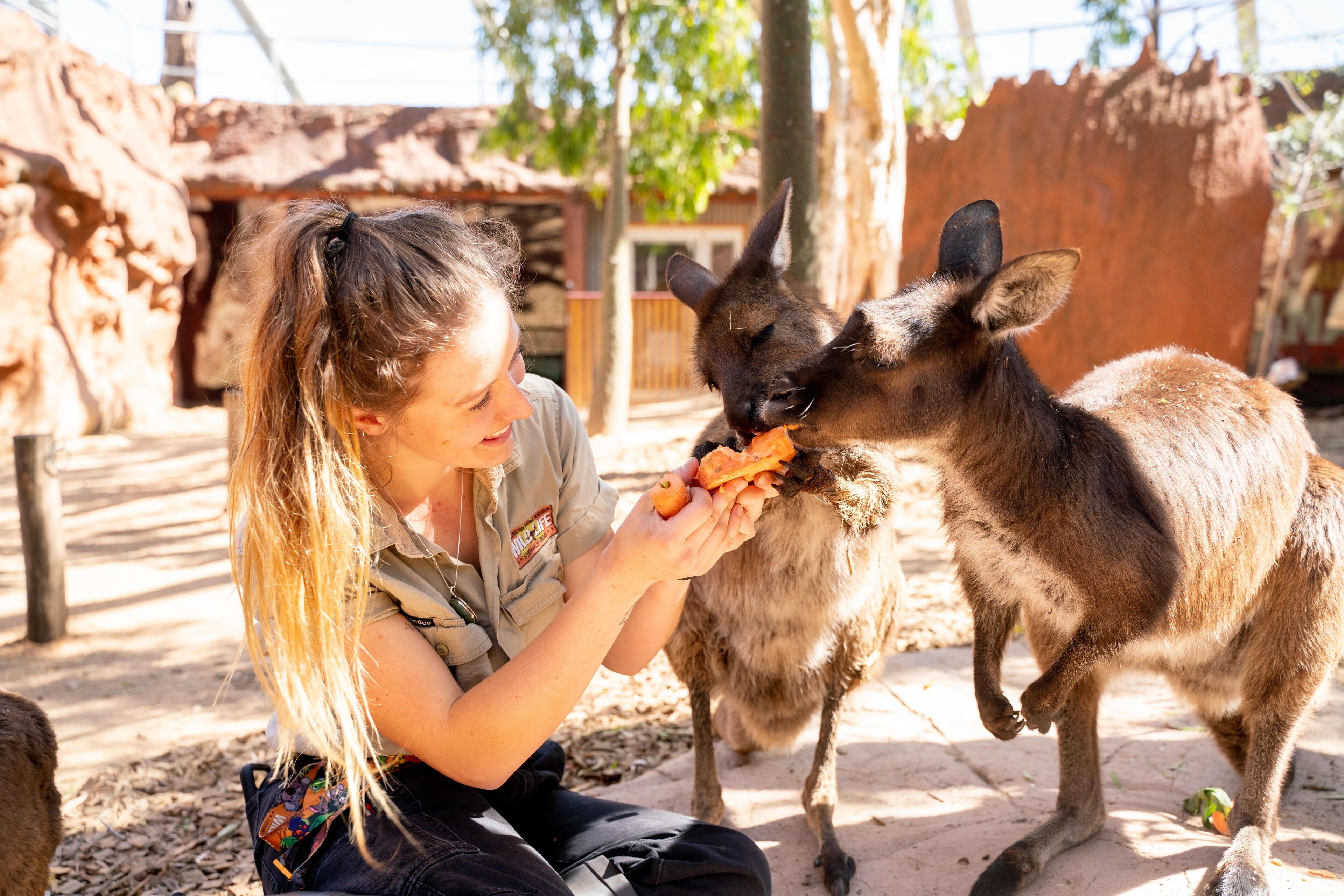 How Much Is Sydney Zoo Tickets