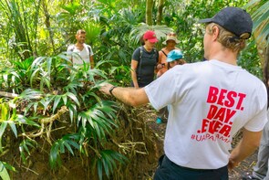 Small-Group Panama City Jungle Excursion