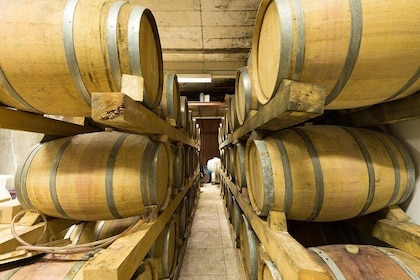 Konavle wine tasting tour from Dubrovnik with 2 vinery's
