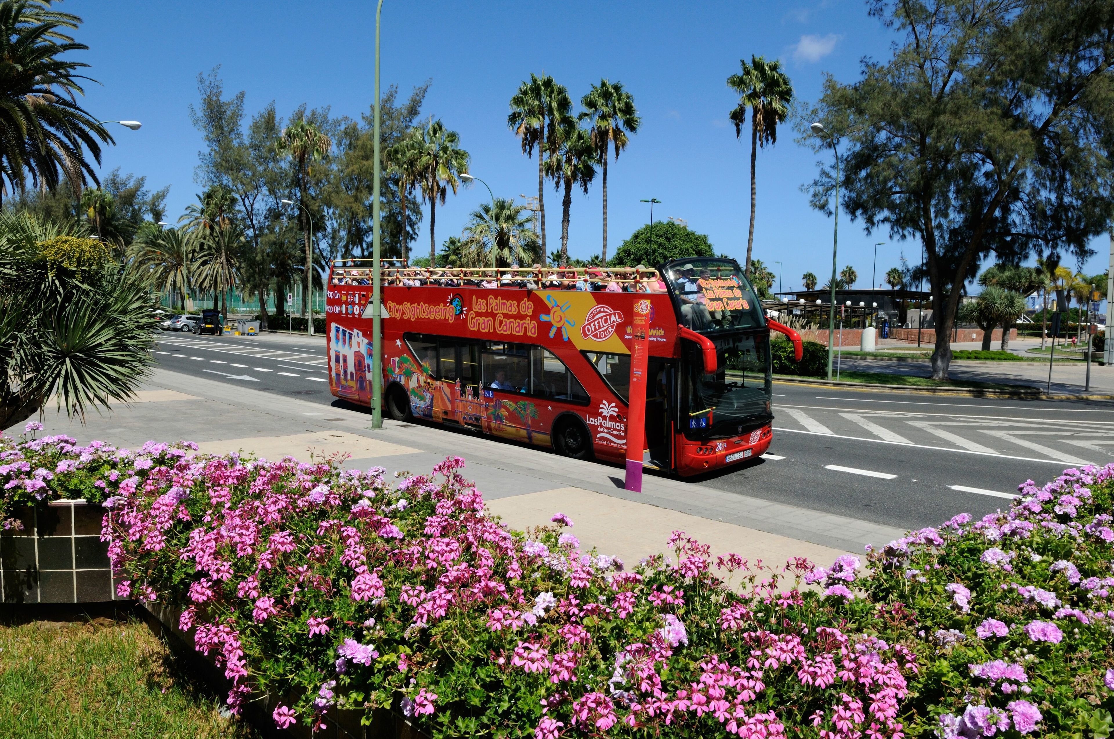 dividir envidia Dedos de los pies Visita en autobús turístico por Las Palmas