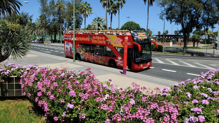 Las Palmas Hop-On Hop-Off Bus Tour