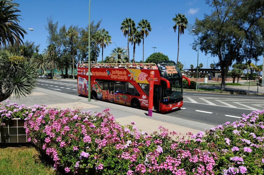 Las Palmas Hop-On Hop-Off Bus Tour