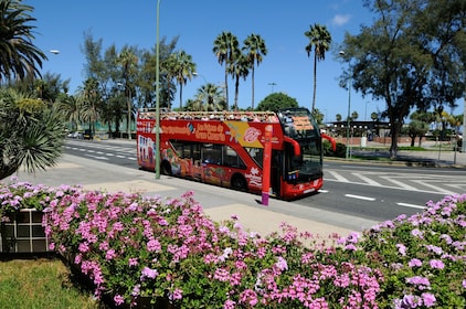 Las Palmas Hop-On Hop-Off Bus Tour