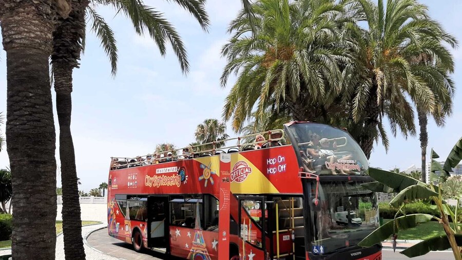 City Sightseeing Benalmadena HOHO Bus Tour + Optional Butterfly Park