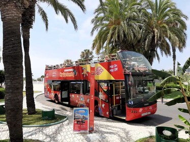 City Sightseeing Benalmadena HOHO Bus Tour + Optional Butterfly Park