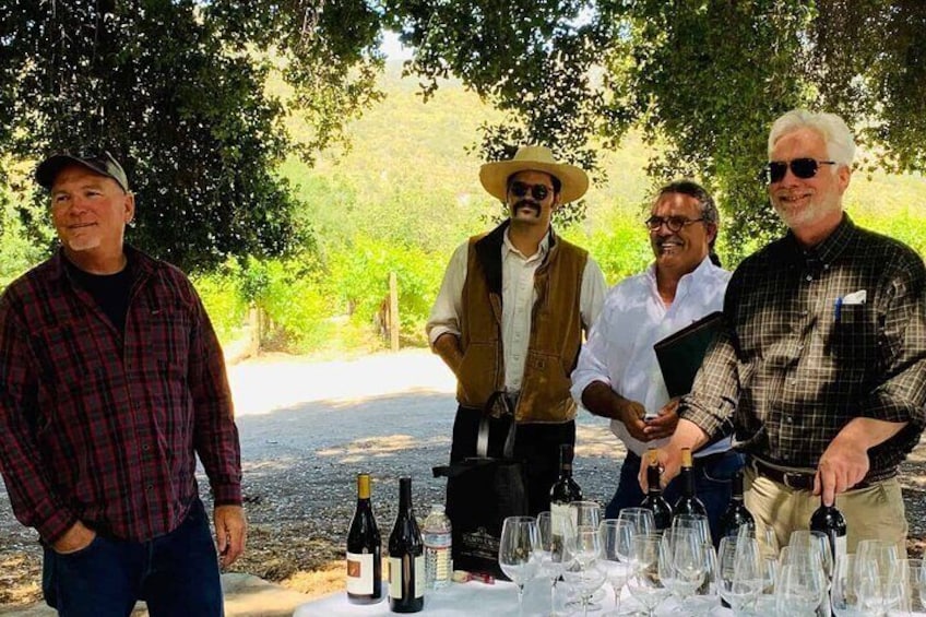 Temecula Wine Country 7 Hours Private Day Trip.