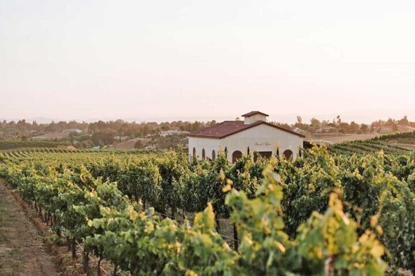 Private Temecula Wine Trail and Old Town Dinning and Shop.