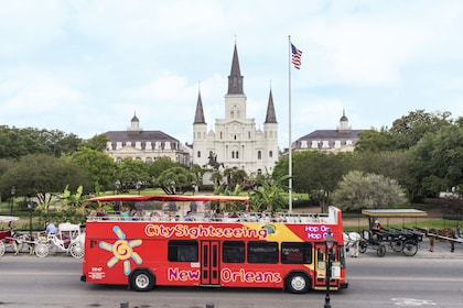 New Orleans Hop-On Hop-Off Open Top Bus Tour with Expert Live Guide