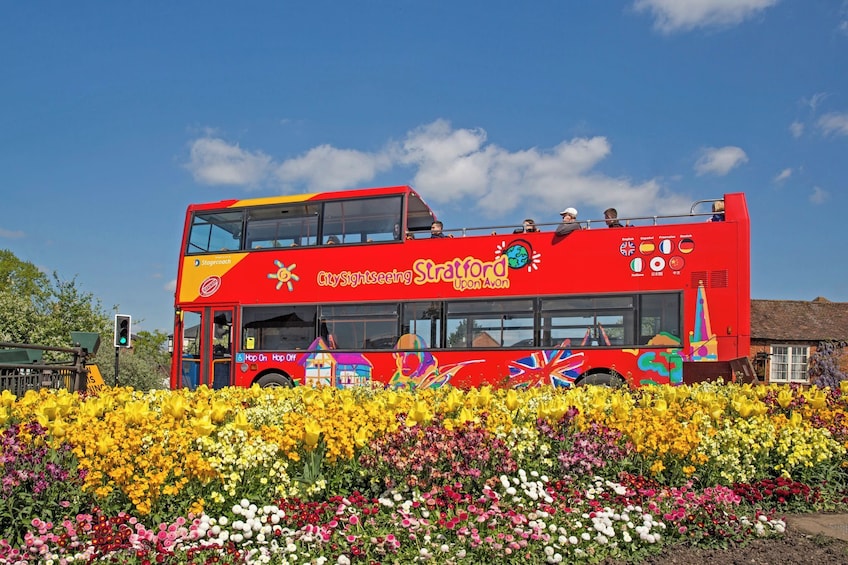 Stratford-upon-Avon Hop-On Hop-Off Bus Tour