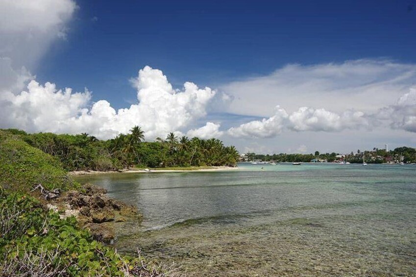 Découvrez le sud de la grande terre avec un guide en berline privée