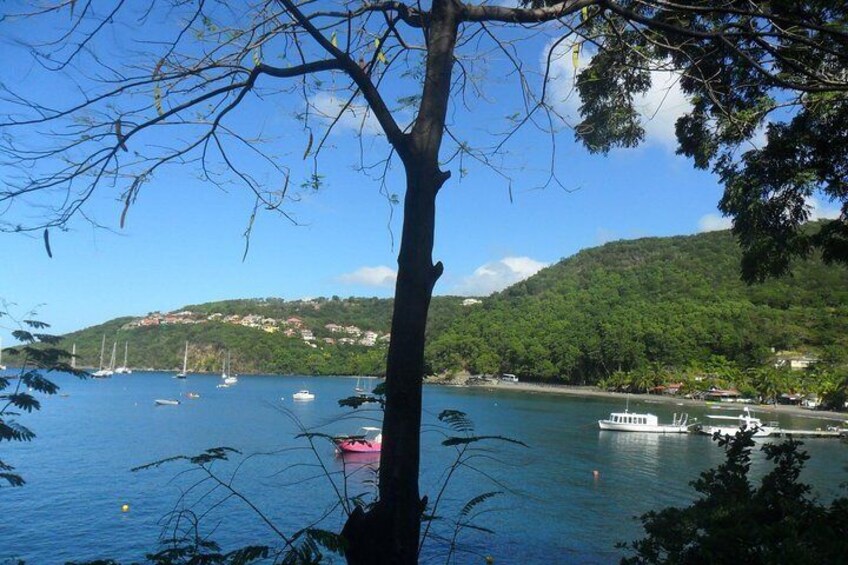 Découvrez le sud de la basse terre avec un guide en berline privée