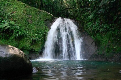 Découvrez le sud de la basse terre avec un guide