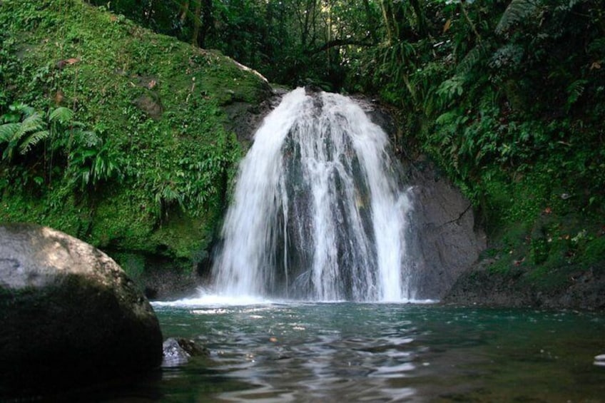 Découvrez le sud de la basse terre avec un guide en berline privée