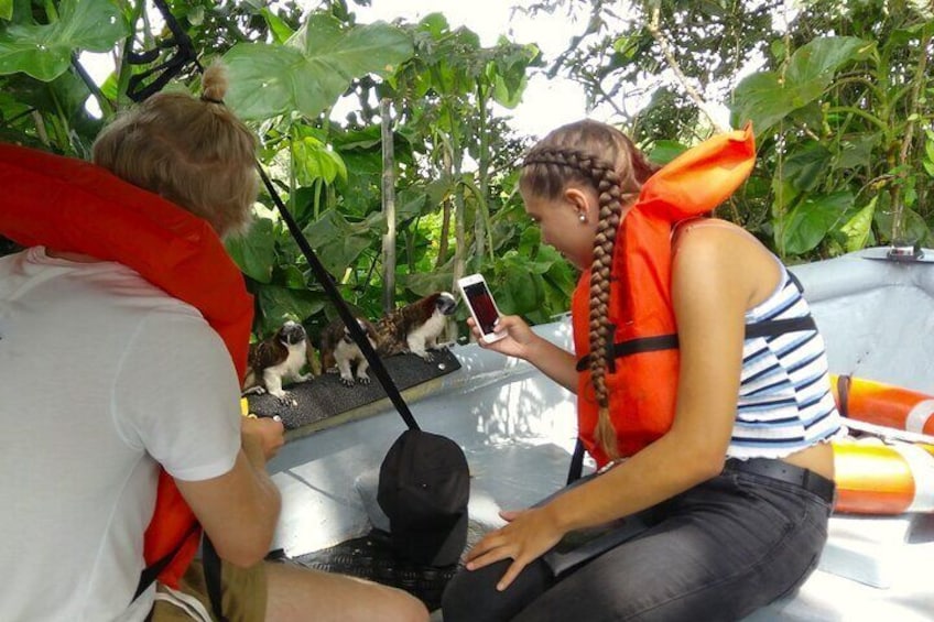 Boat Tour and wildlife in the Panama Canal