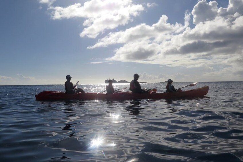 St Thomas Sea Turtle Snorkel Kayak Adventure Tour