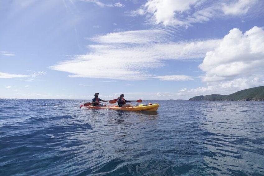 Reef and Turtle Adventure - Kayak and Snorkel Tour