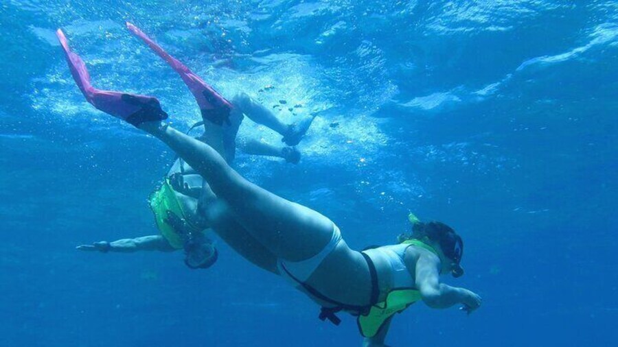 Reef and Turtle Adventure - Kayak and Snorkel Tour