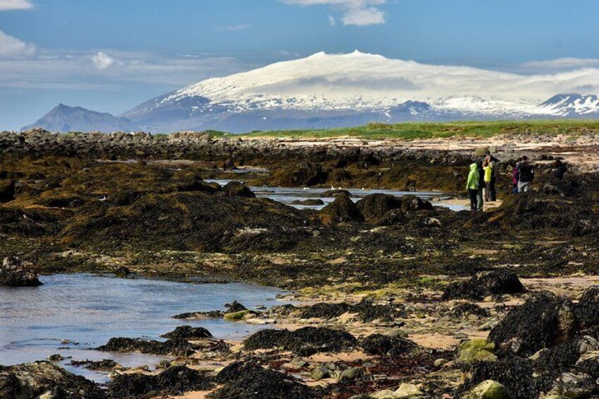 Snaefellsjokull volcano glacier