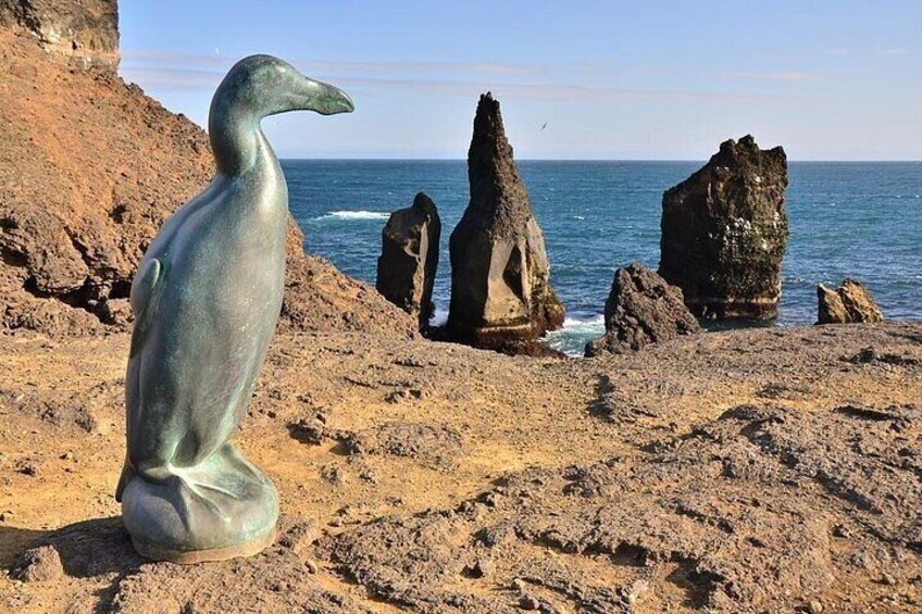 Bird cliffs & great auk
