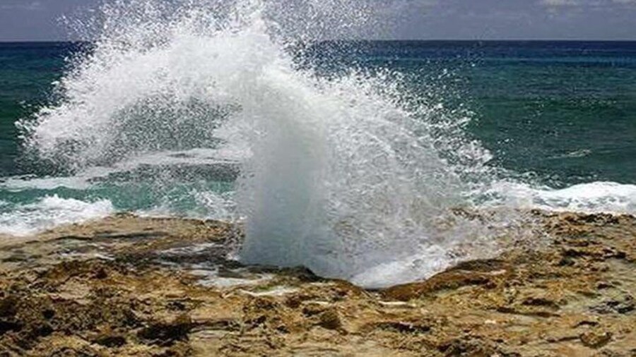 Blow Holes