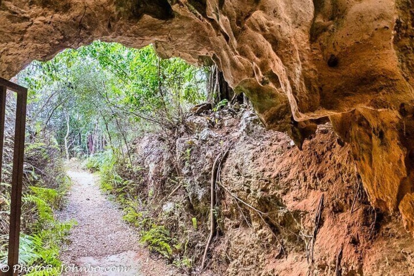 Cayman Crystal Caves Tour in Grand Cayman Island