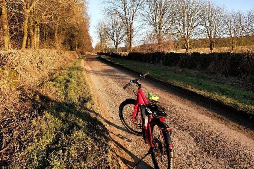 A bike is a boy's best friend!