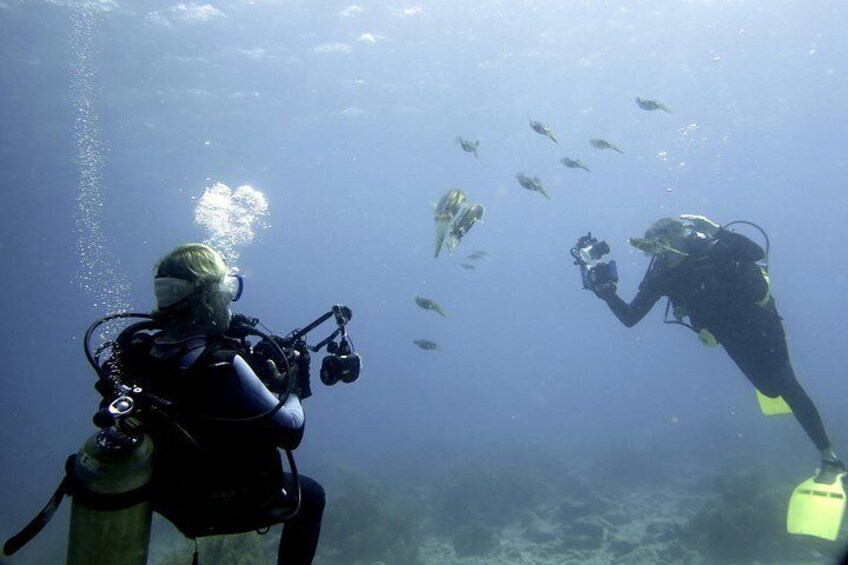 Scuba bonaire