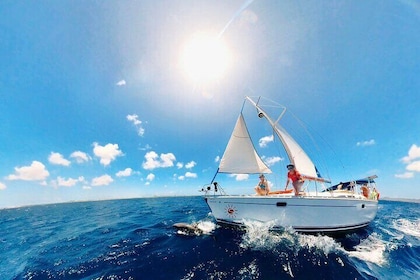 SoloBon Private Sail & Snorkel Charter