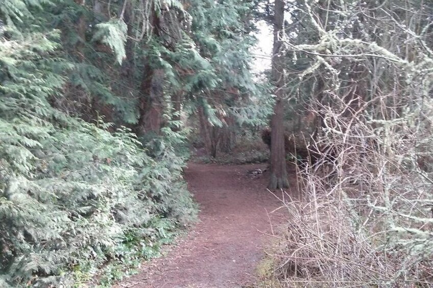 Deception Pass State Park Trail