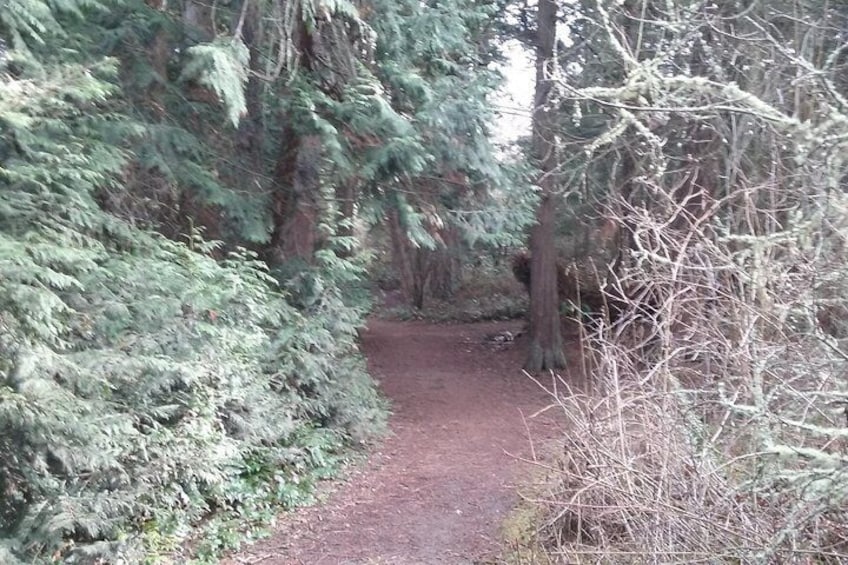 Deception Pass State Park Trail