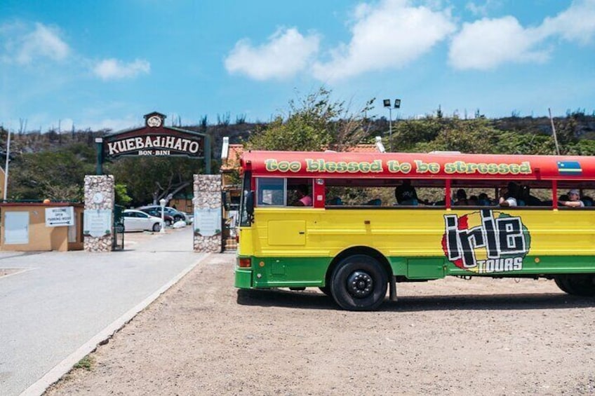 Irie bus at Hato caves 