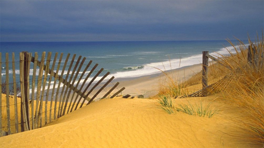 Sand dunes and coast of Cape Cod