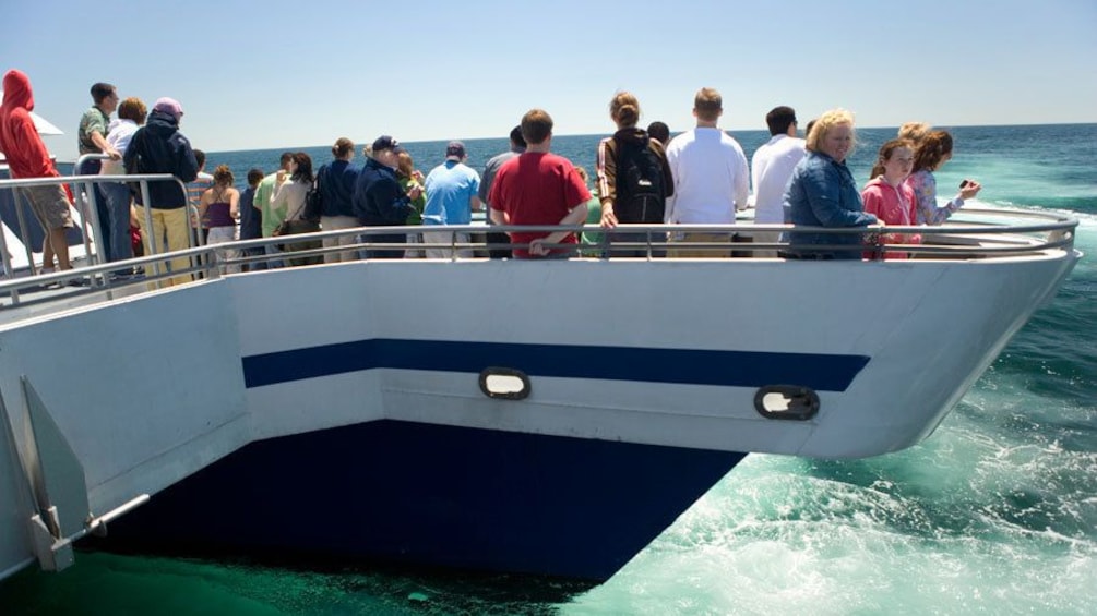 Passengers looking out at the water from the deck of a whale watching cruise in Boston