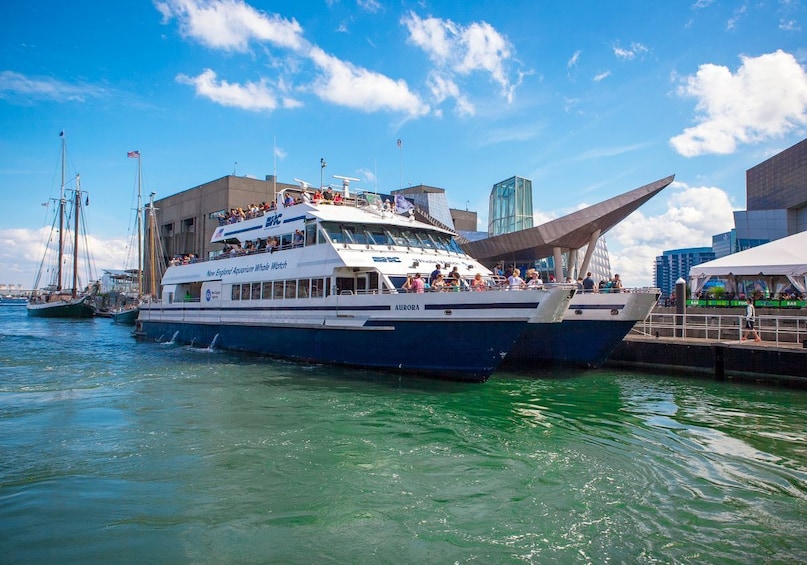 Boston Harbor New England Aquarium Whale-Watching Cruise