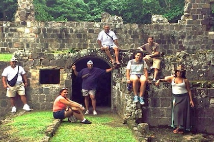 St. Kitts Rainforest Tour