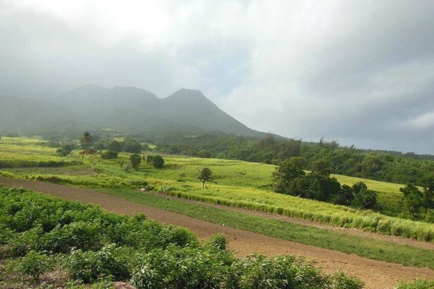 Hiking Mount Liamuiga Volcano in St Kitts