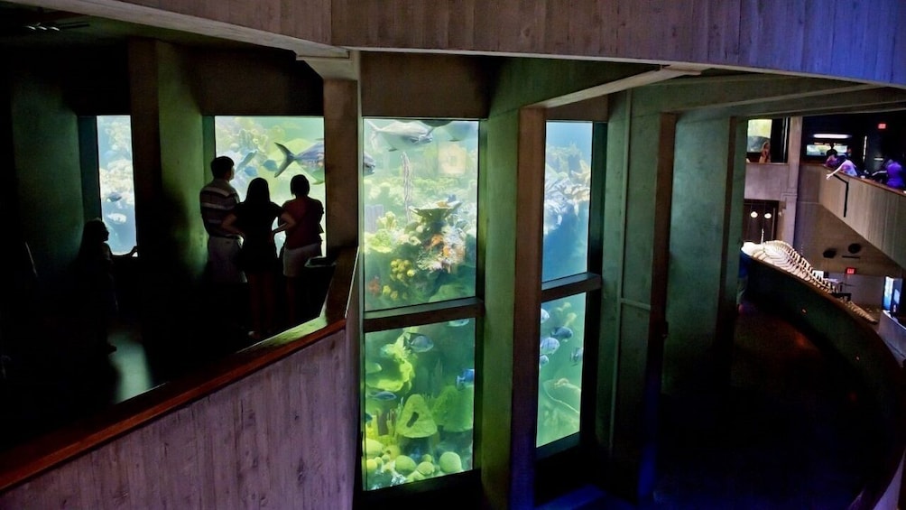 Indlæs billede 4 af 10. New England Aquarium Admission
