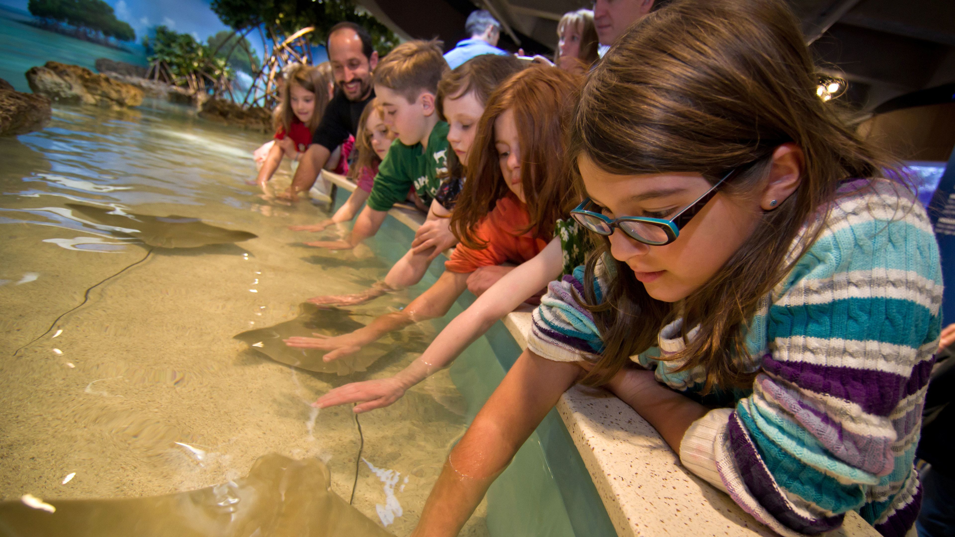 new england aquarium coupon