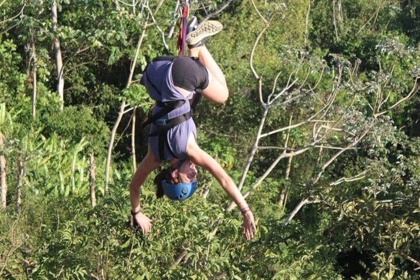 Zipline - Upside Down