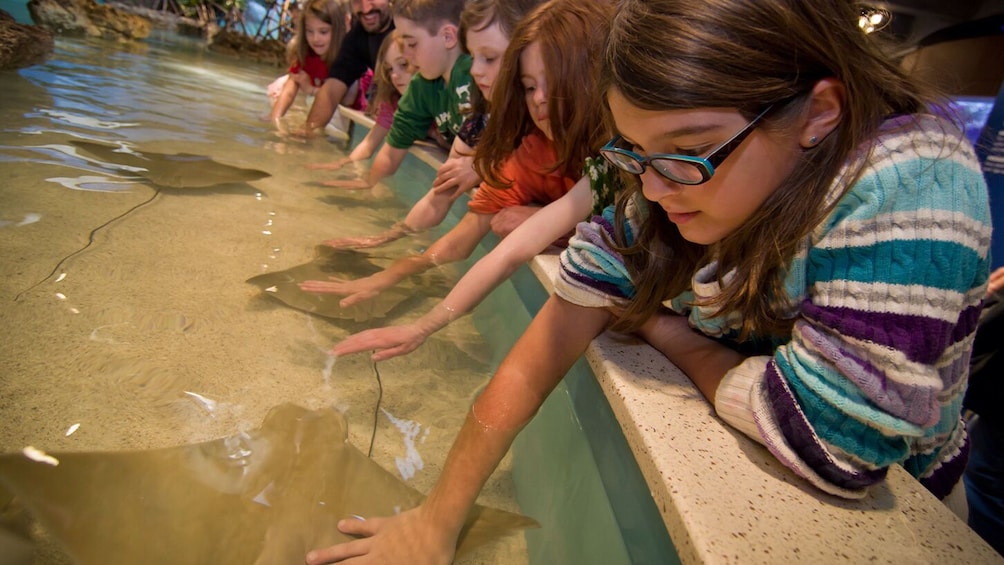 Go City: Boston All-Inclusive Pass with 40+ Attractions
