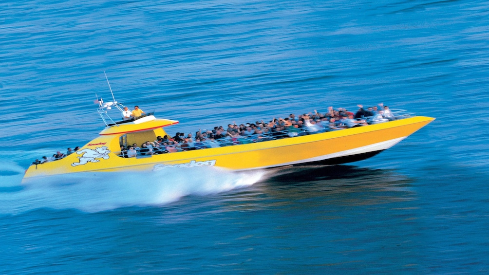 yellow speed boat on the lake in chicago 
