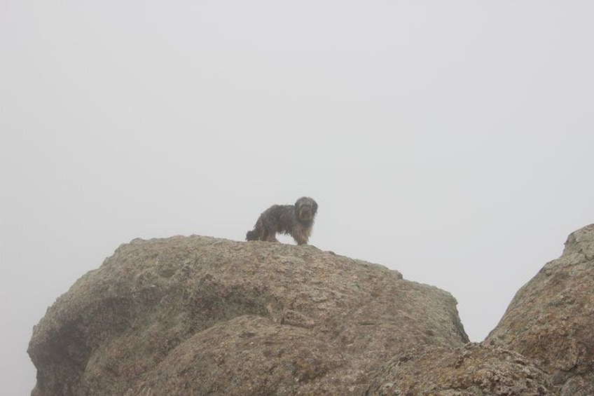 Marcahuasi Experience in Lima