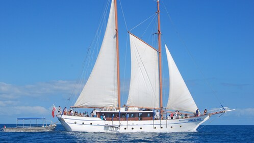 Whale's Tale All-inclusive Sail & Snorkel Adventure Cruise