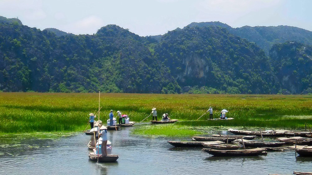 boats rowing in a single file line in Vietnam