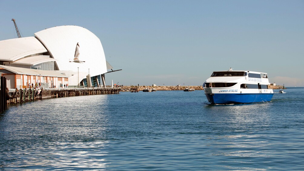 a cruise ship docking in Fremantle