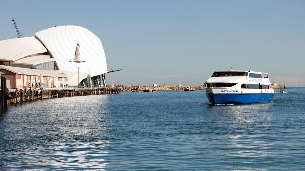 a cruise ship docking in Fremantle