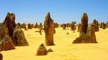 Pinnacles Desert & New Norcia Day Tour from Perth