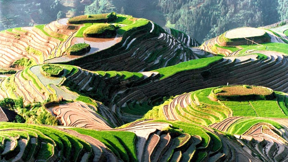 fields on the hills in xian